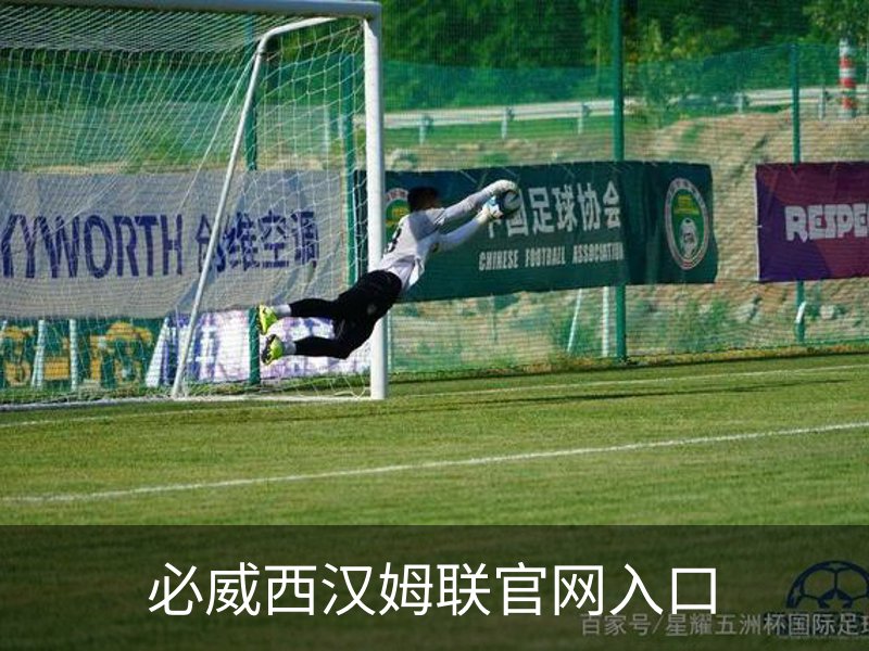 必威西汉姆联官网入口简介